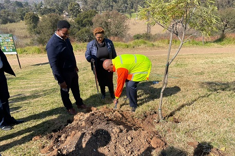 Trees planted at James and Ethel Gray Park