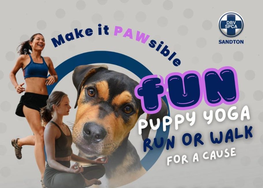 FUN Puppy Yoga �&middot; Run/Walk