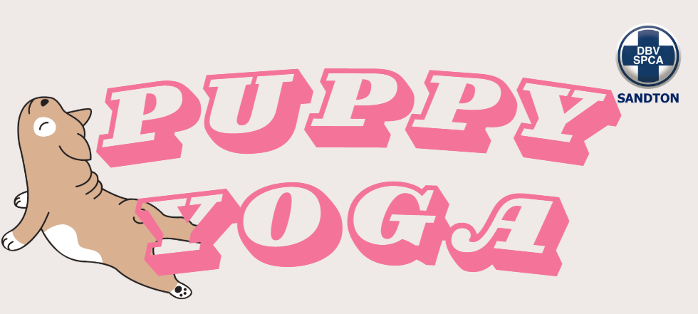 Puppy Yoga