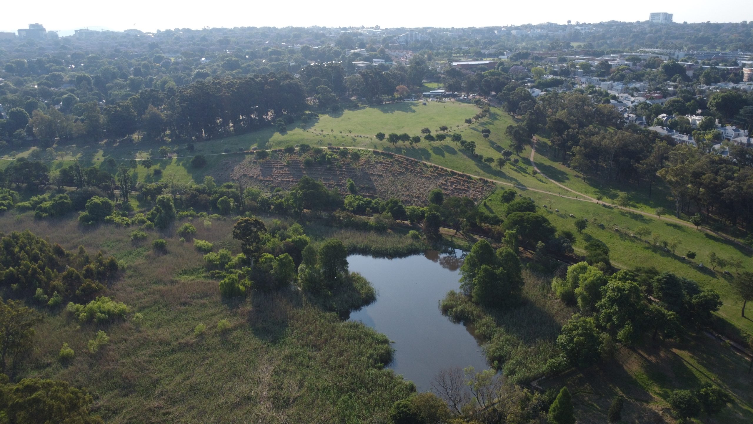 Aerial view of James and Ethel Gray Park